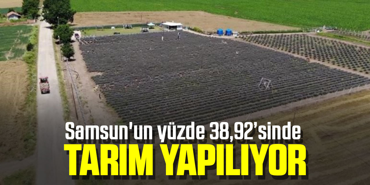 Samsun'un yüzde 38,92’sinde tarım yapılıyor