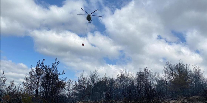 Çanakkale'de çıkan orman yangını kontrol altına alındı