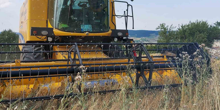 Kastamonu’da 10 bin 350 ton siyez buğdayının hasadı yapıldı