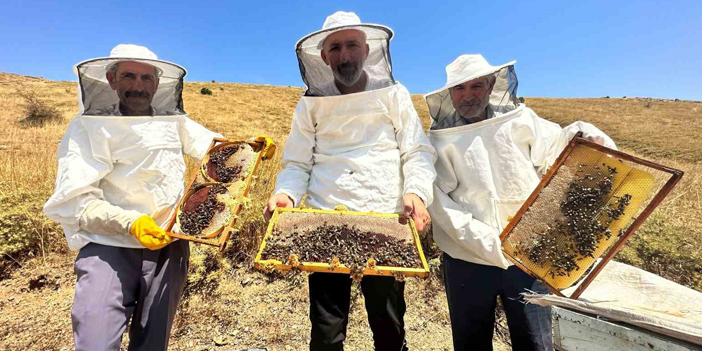 İklim değişikliği ve sıcaklık son 3 yılda bal rekoltesini yüzde 100 düşürdü