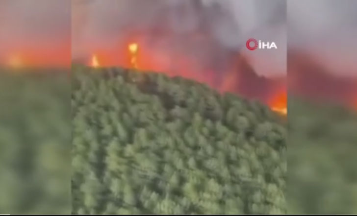 İspanya’nın Tenerife Adası yangınlarla boğuşuyor: 26 bin kişi tahliye edildi