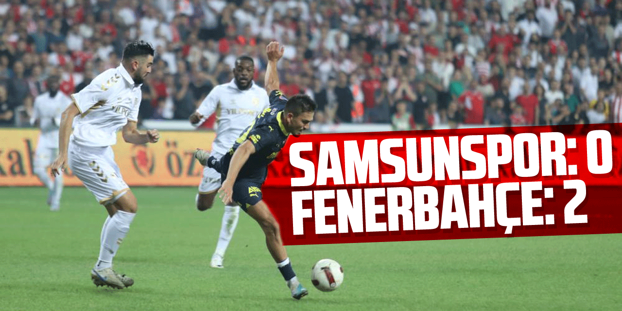 Y. Samsunspor: 0 - Fenerbahçe: 2