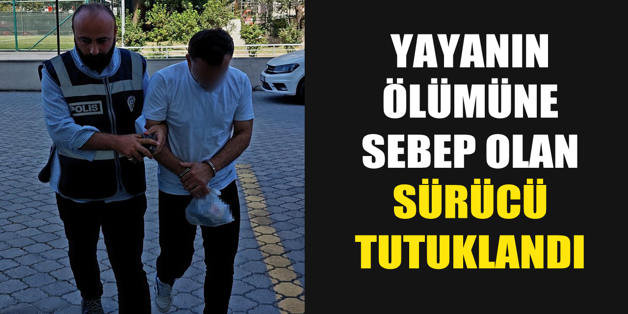 Yayanın ölümüne sebep olan sürücü tutuklandı