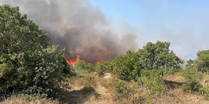 Çanakkale'de ağaçlık alanda yangın çıktı