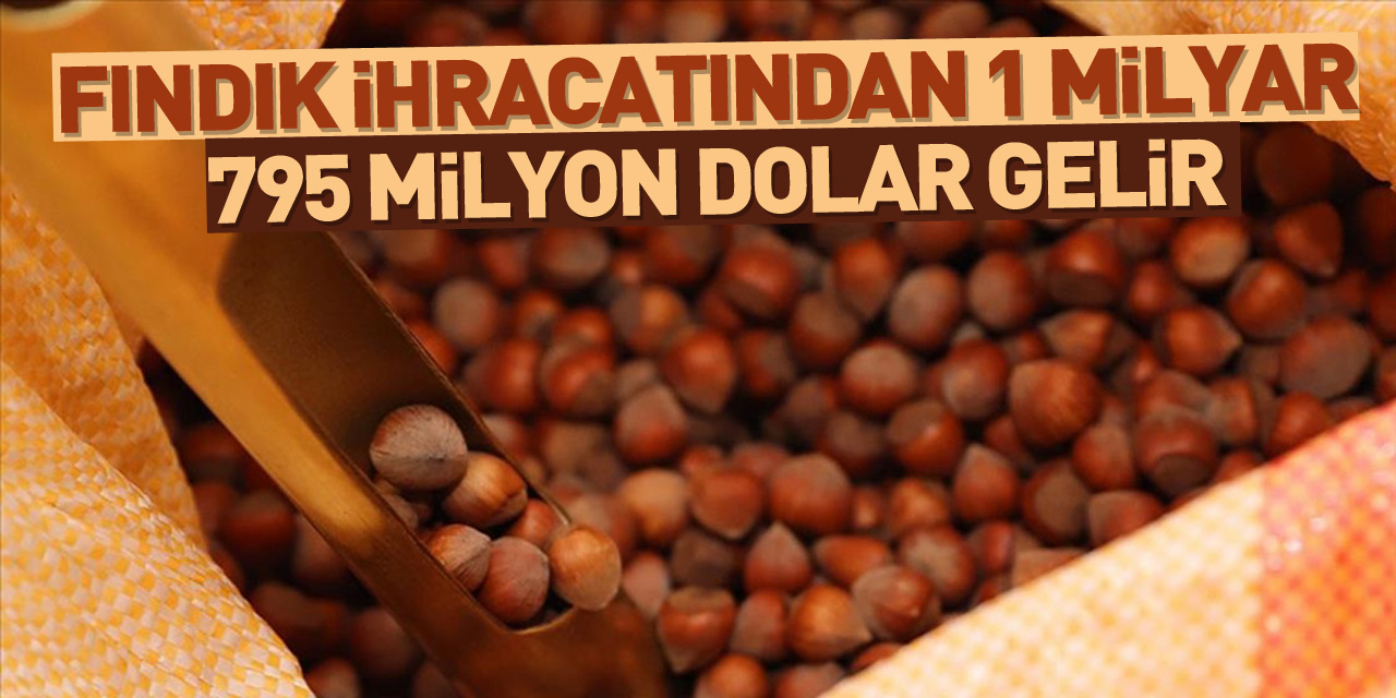 Türkiye'nin fındık ihracatı 1 milyar 795 milyon dolar olarak gerçekleşti