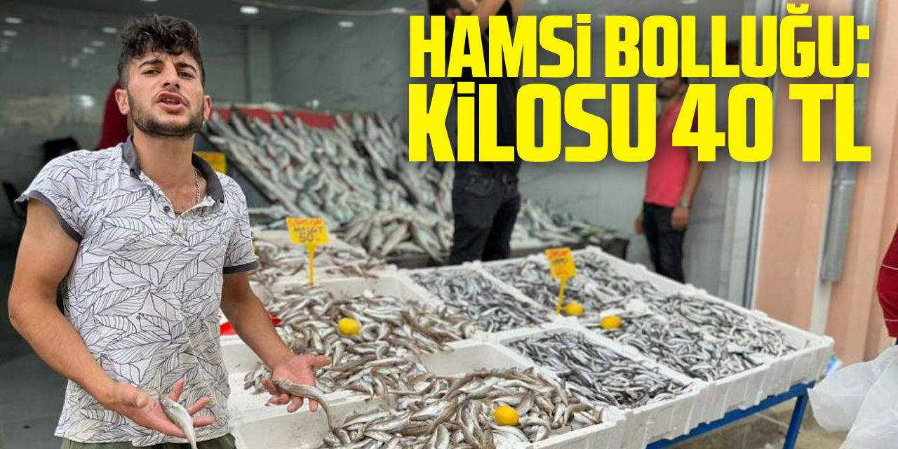 Karadeniz'de hamsi bolluğu: Kilosu 40 TL