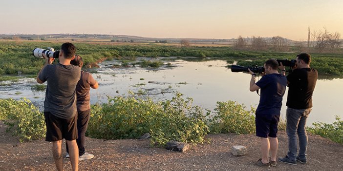 Gaziantep'teki sulak alanlar kuş fotoğrafçılarının uğrak yeri oldu