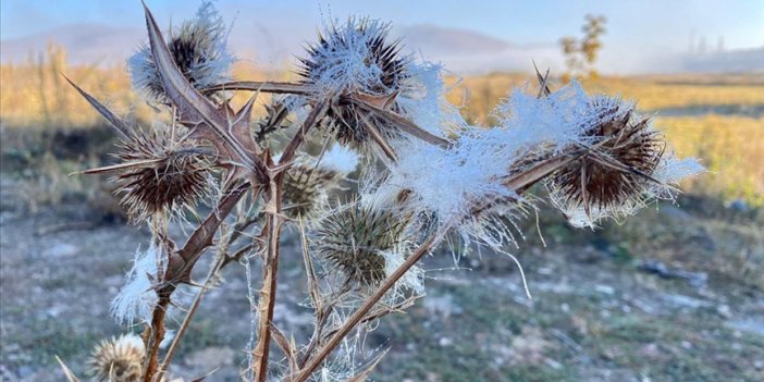 Ardahan'da soğuk hava nedeniyle sis, kırağı ve buzlanma oluştu
