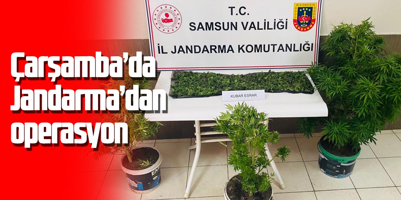 Jandarma’dan operasyon