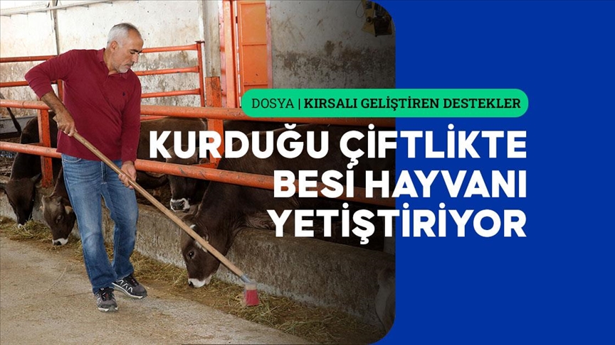 Sivaslı öğretmen TKDK desteğiyle kurduğu çiftlikte besi hayvanı yetiştiriyor