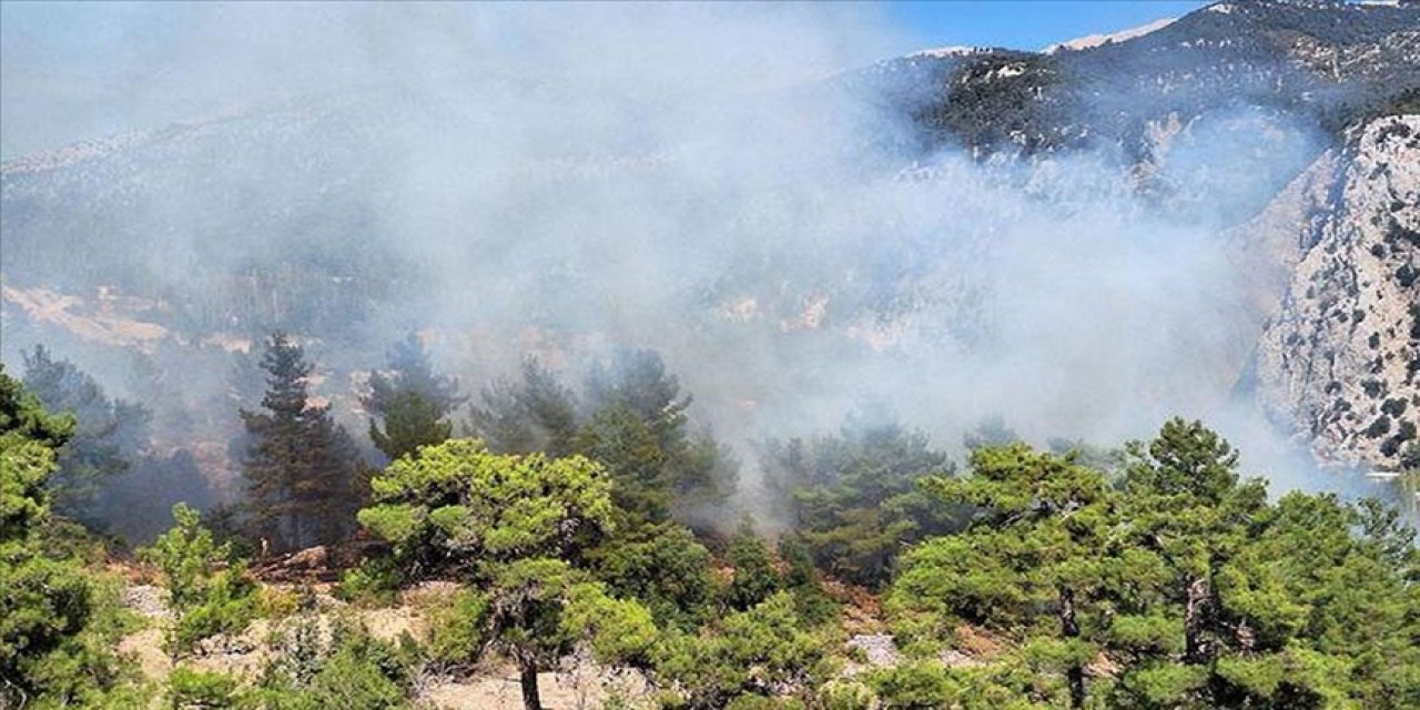 Antalya'nın Kaş ilçesinde orman yangını çıktı