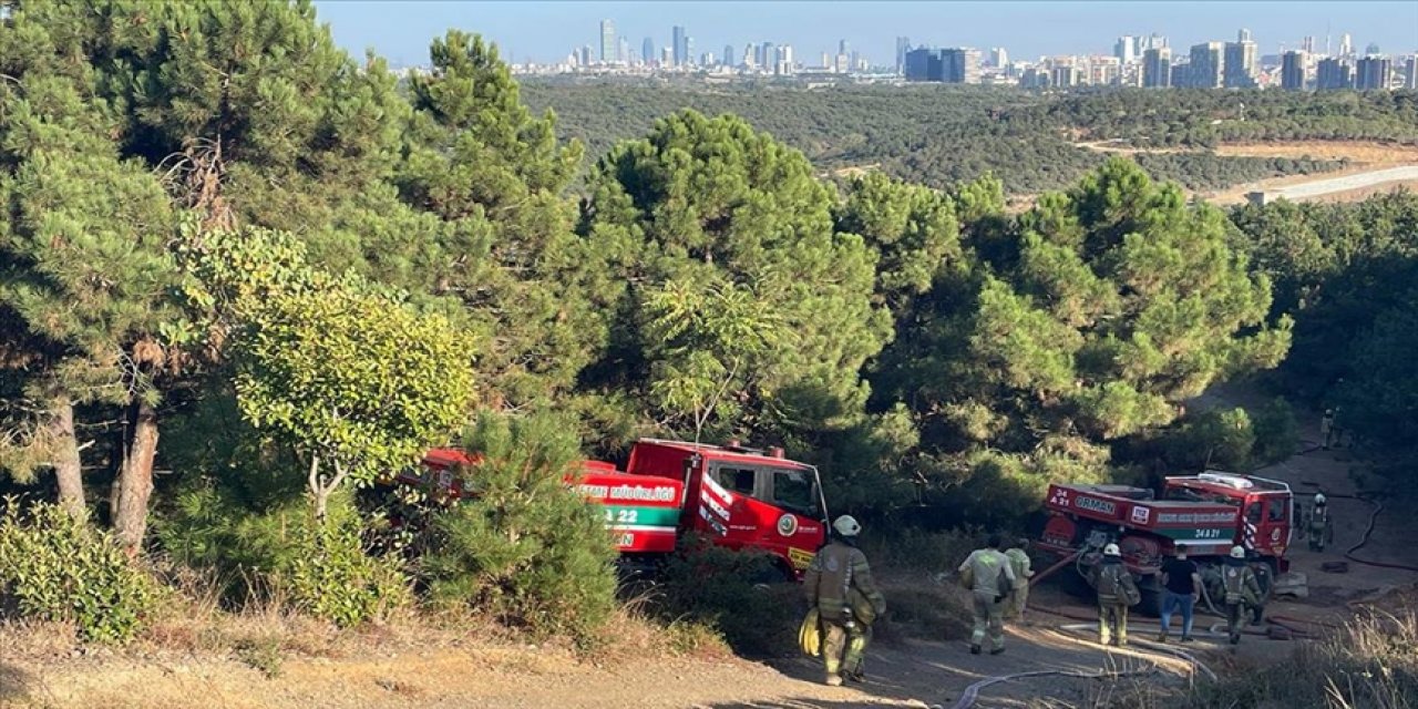 Sultangazi'de ormanlık alanda çıkan yangın kontrol altına alındı