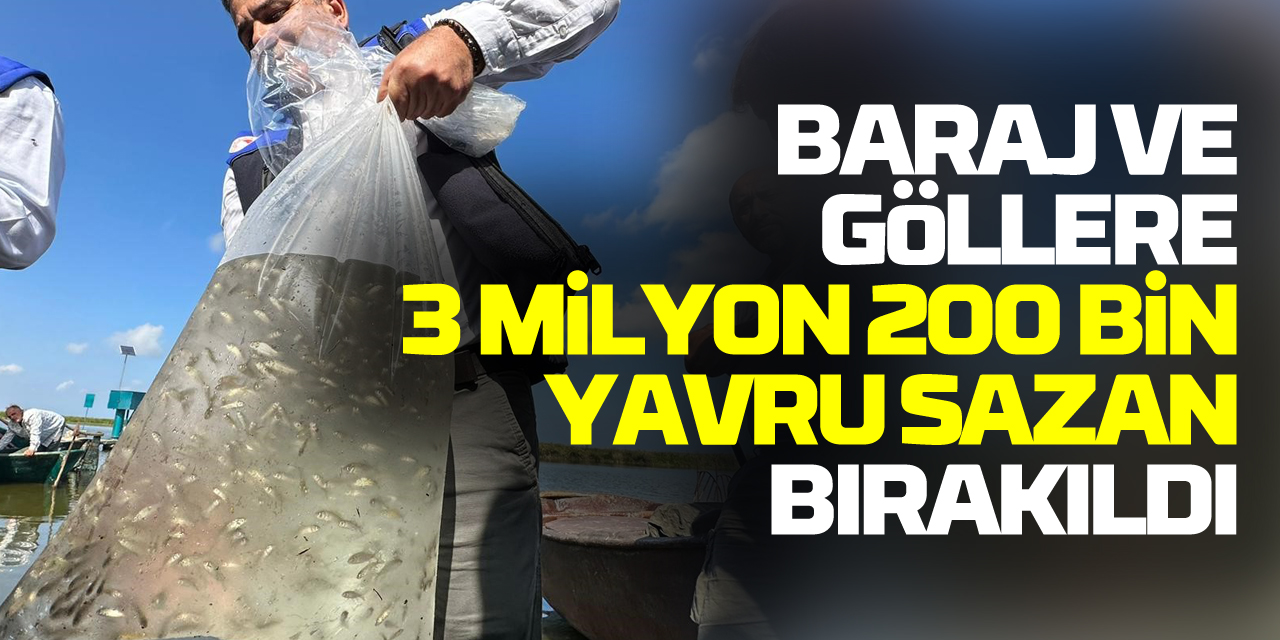 Samsun'da baraj ve göllere 3 milyon 200 bin sazan yavrusu bırakıldı