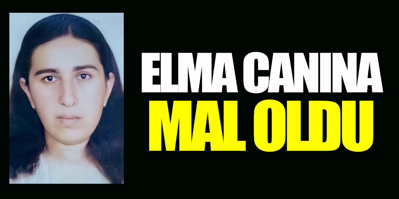 Elma canına mal oldu