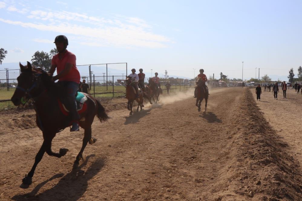 Nazilli’de rahvan atlar birincilik için yarıştı