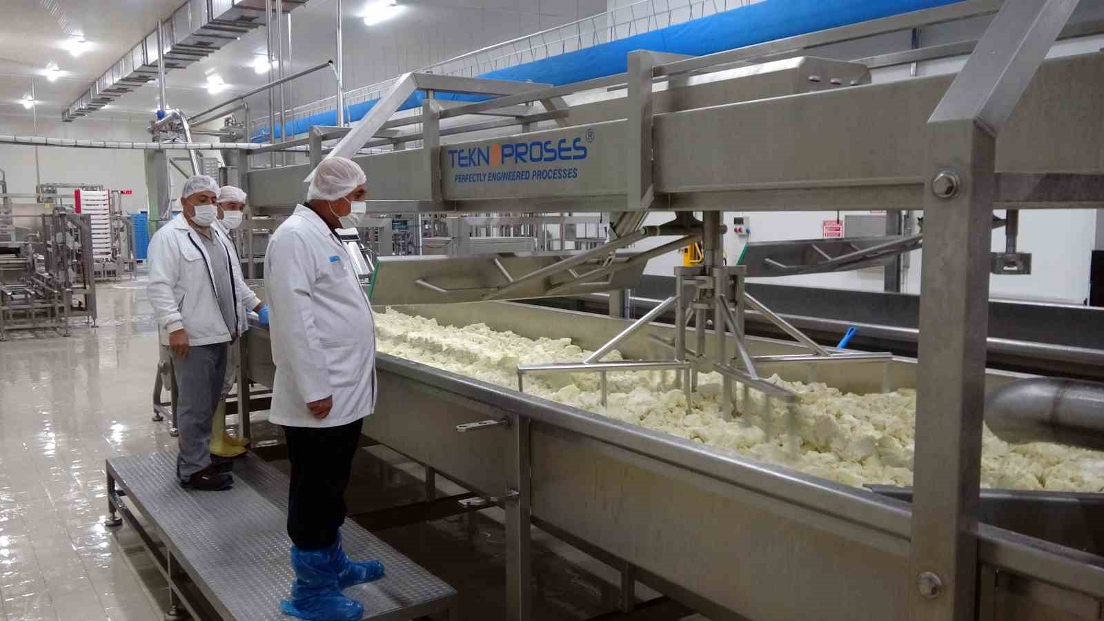 770 ton süt ürünü elde edildi
