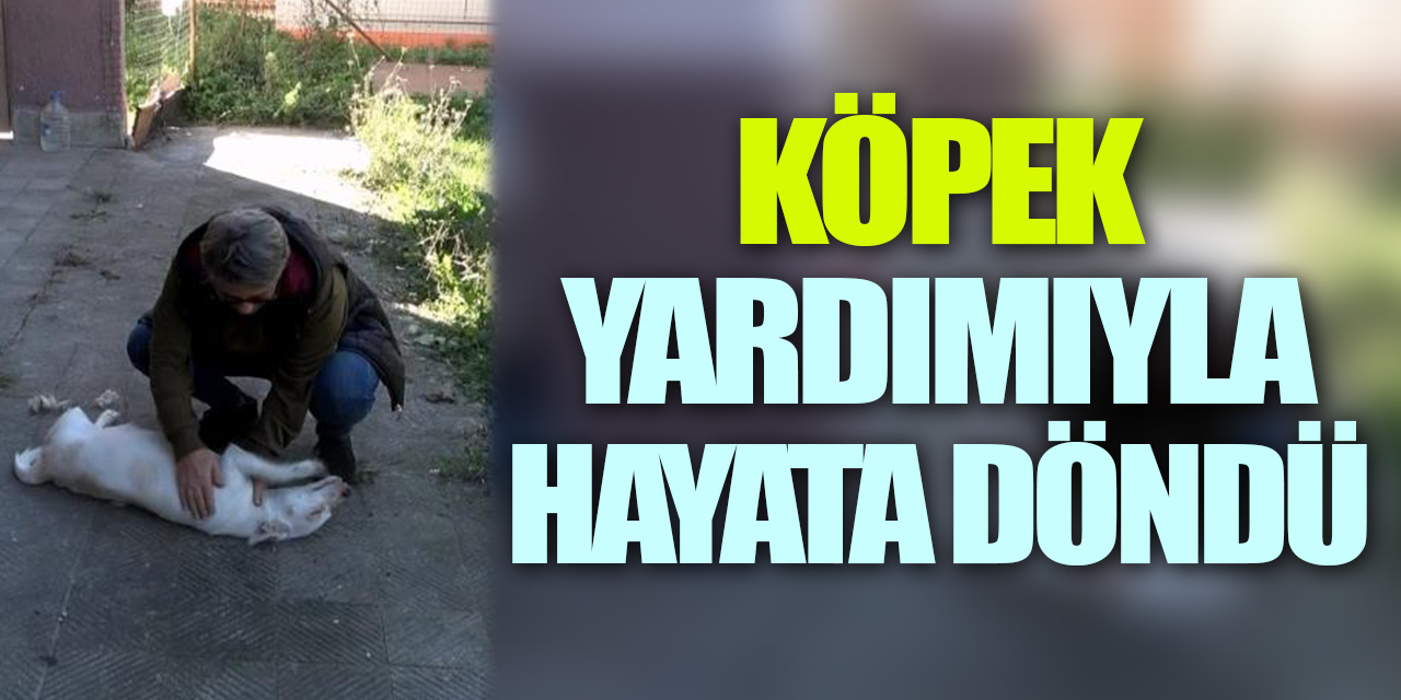 Köpek Yardımıyla hayata döndü