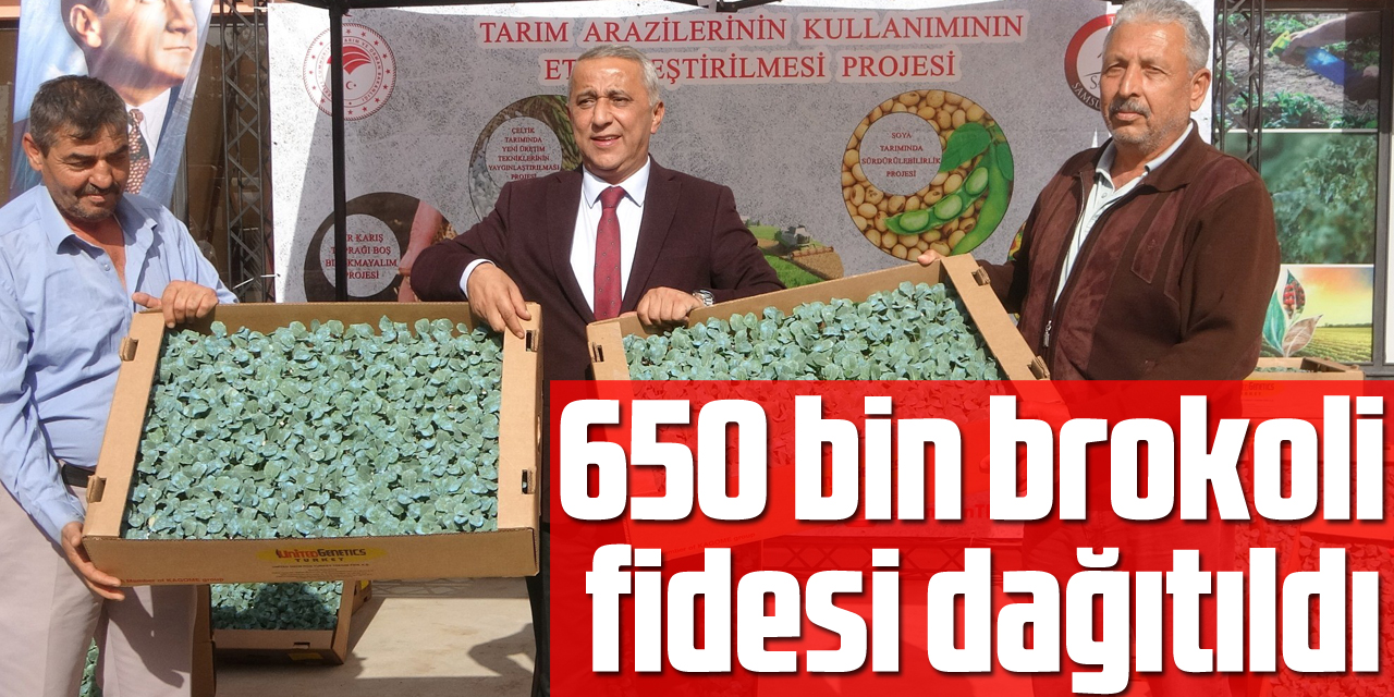 650 bin brokoli fidesi dağıtıldı