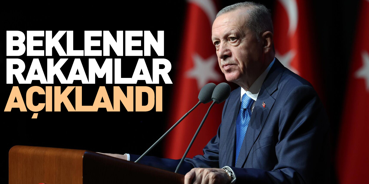 Cumhurbaşkanı Erdoğan, rakamları açıkladı