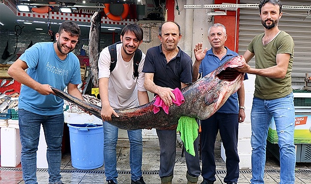 Samsun'da 33 kilogramlık yayın balığı