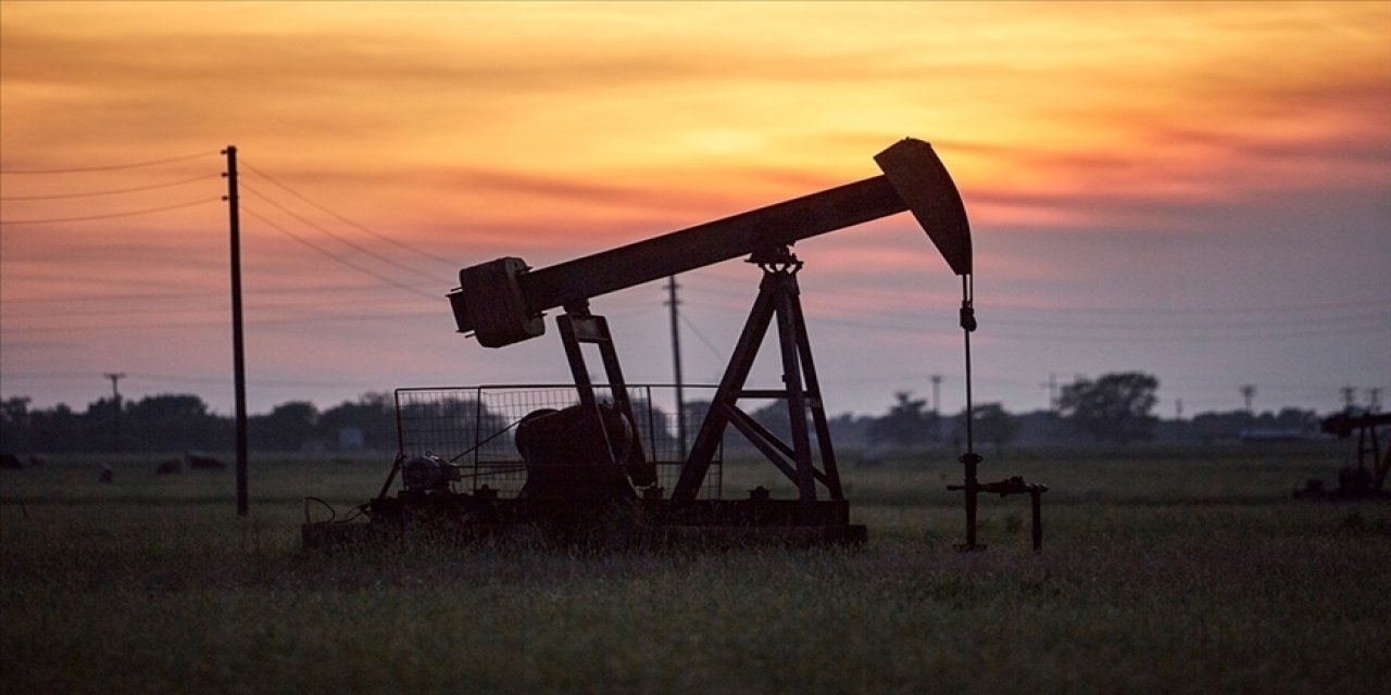 Petrol ve doğal gaz üretimi bu yıl azalacak