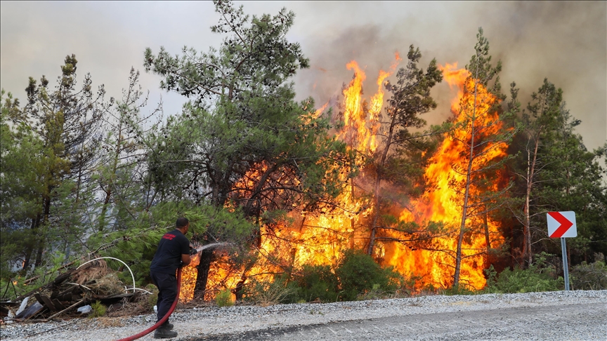 Orman yangınlarının yüzde 80'i kaza sonucu çıktı