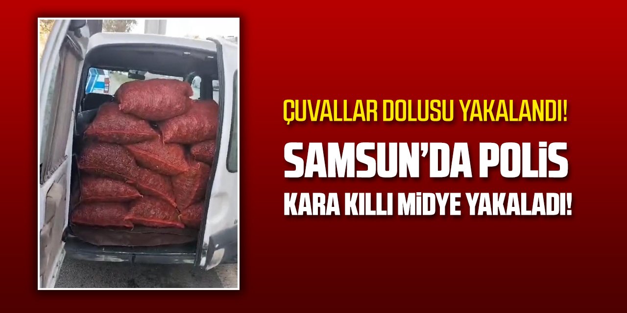 Samsun'da kaçak 20 çuval kara kıllı midye ele geçirildi