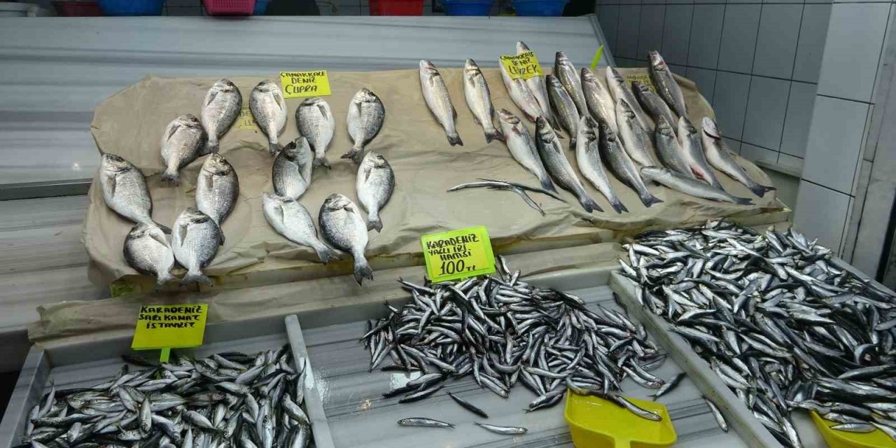 Balıkesir’de fırtına balık fiyatlarını vurdu