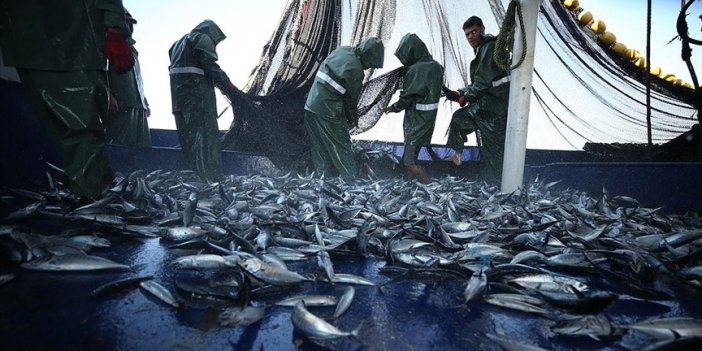 Akdeniz ve Karadeniz'de avlanma düşüşü