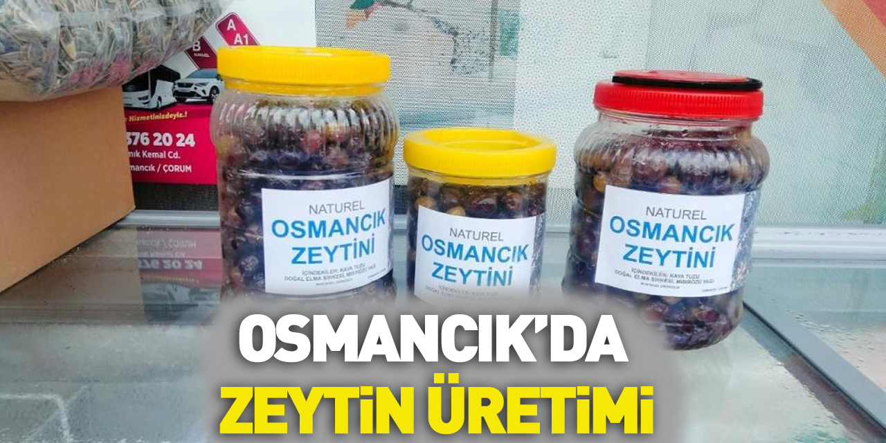 Osmancık'da zeytin üretimi