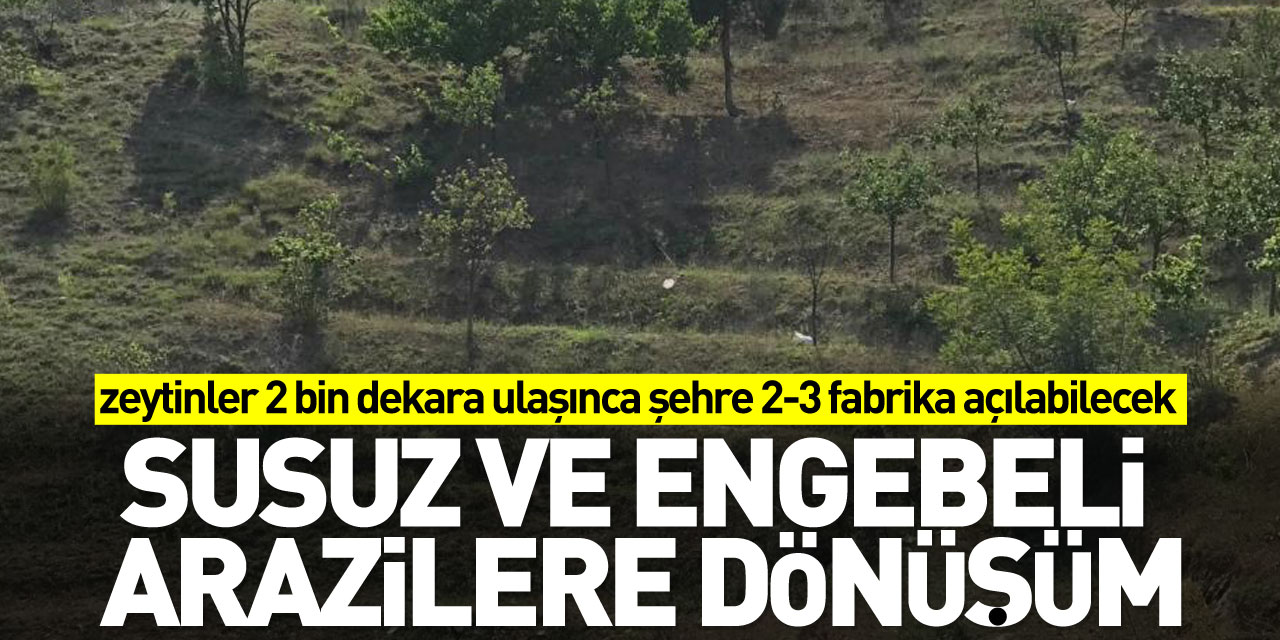 Susuz ve engebeli arazilere dönüşüm