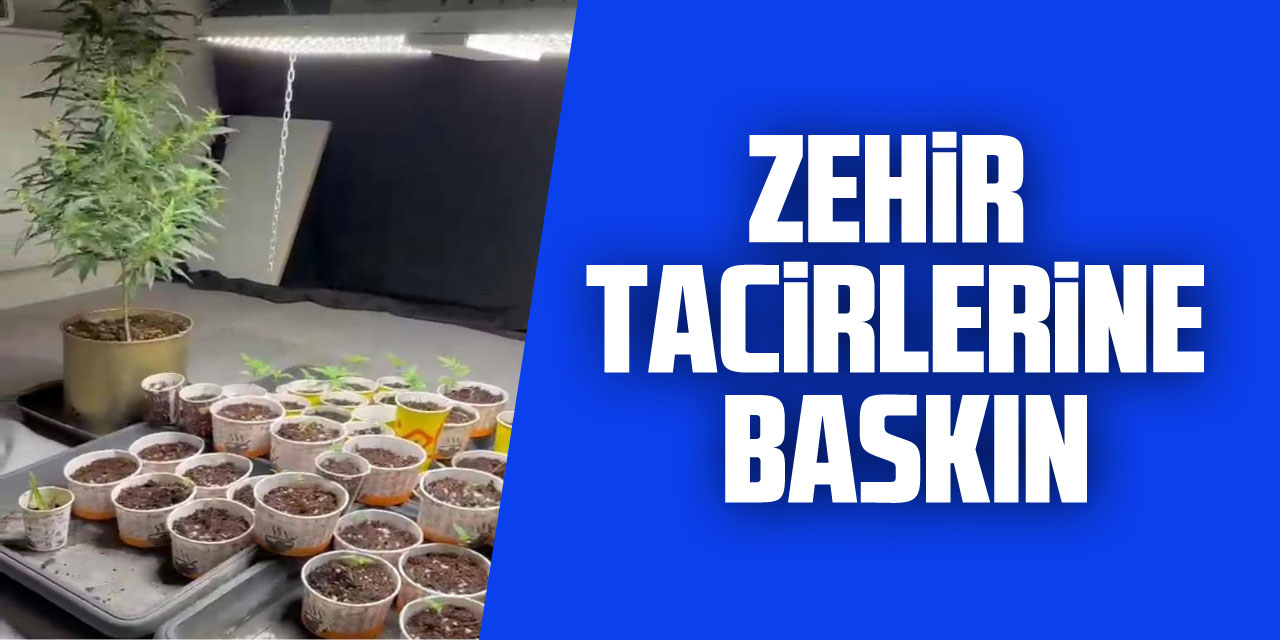 Zehir Tacirlerine Baskın