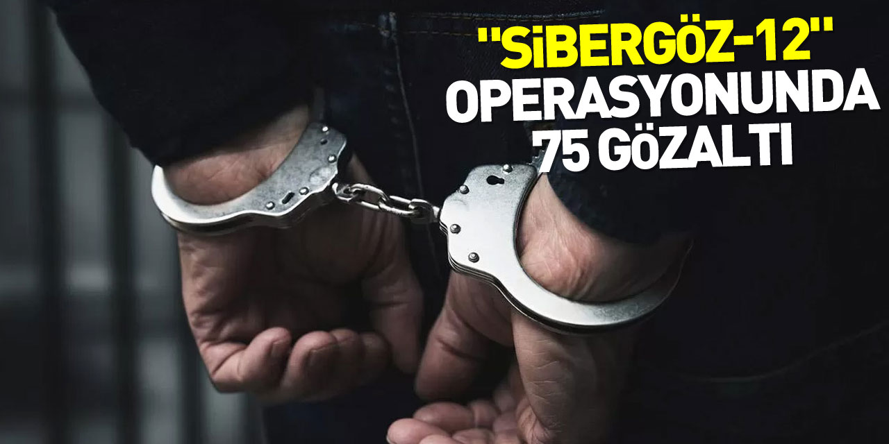 "Sibergöz-12" operasyonlarında 75 gözaltı