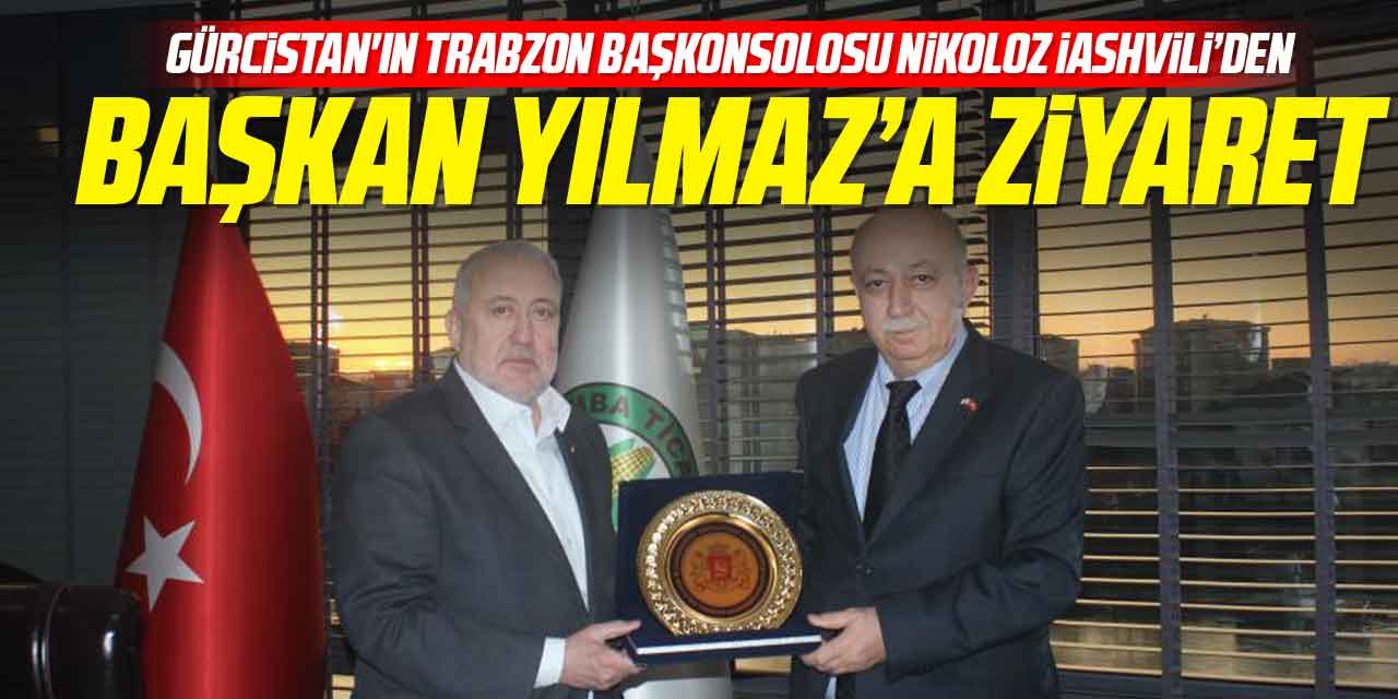 Nikoloz İashvili'den Başkan Yılmaz'a ziyaret