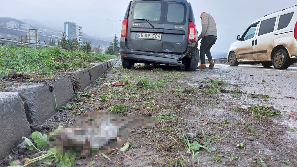 Samsun'da trafik kazasında fareye çarptı