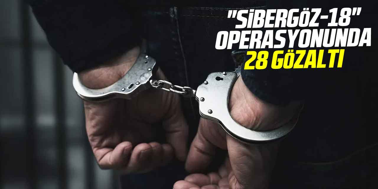 "Sibergöz-18" operasyonunda 28 gözaltı