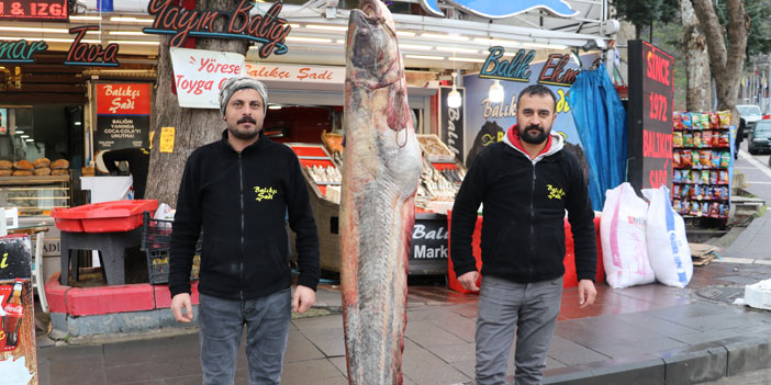 70 kilogram ağırlığında yayın balığı avlandı