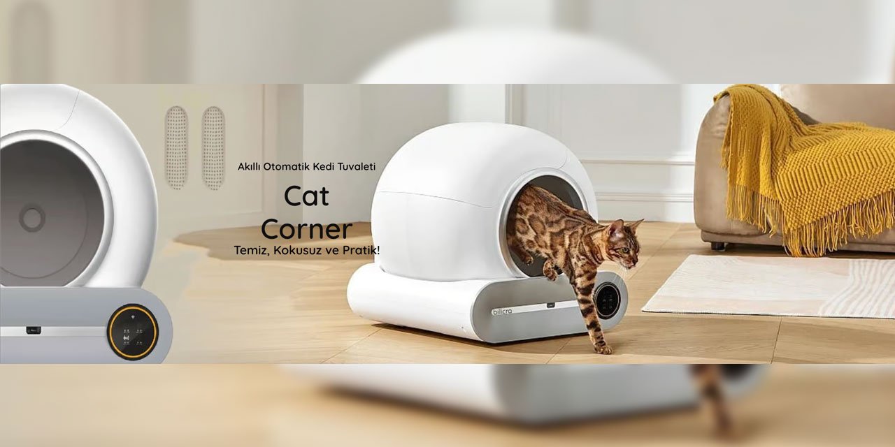 Kum Temizlemeye Son! En Çok Tercih Edilen Otomatik Kedi Tuvaleti Tavsiyeleri