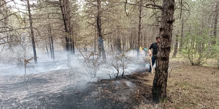 Orman yangını korkuttu