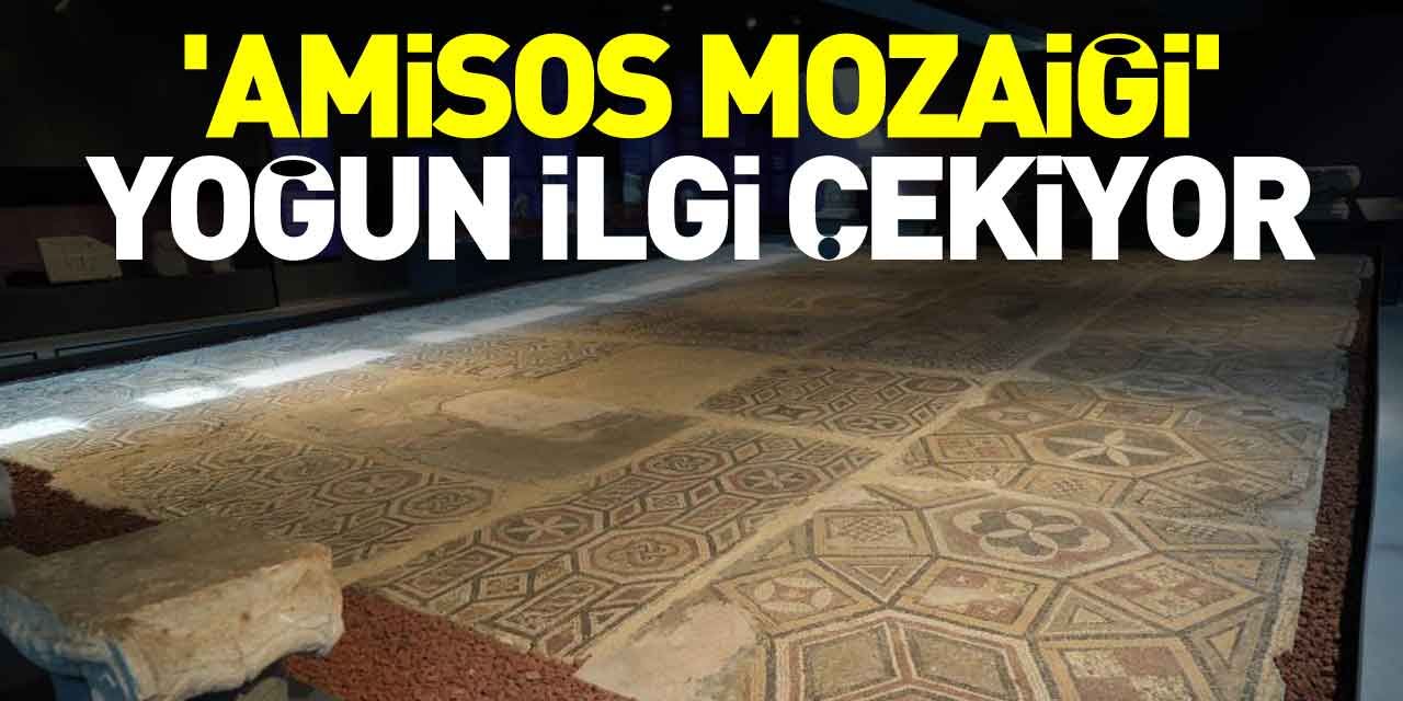 'Amisos Mozaiği' ilgi çekiyor