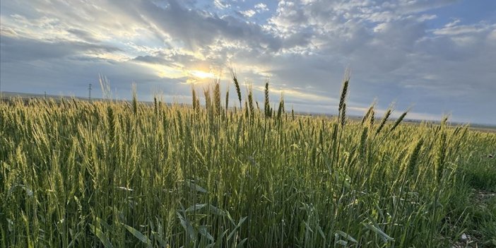 Üreticinin kaygısı gitti