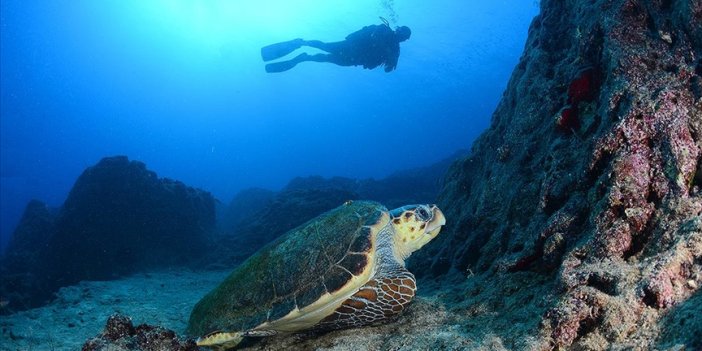 Dalyan Kanalı havadan ve su altından görüntülendi