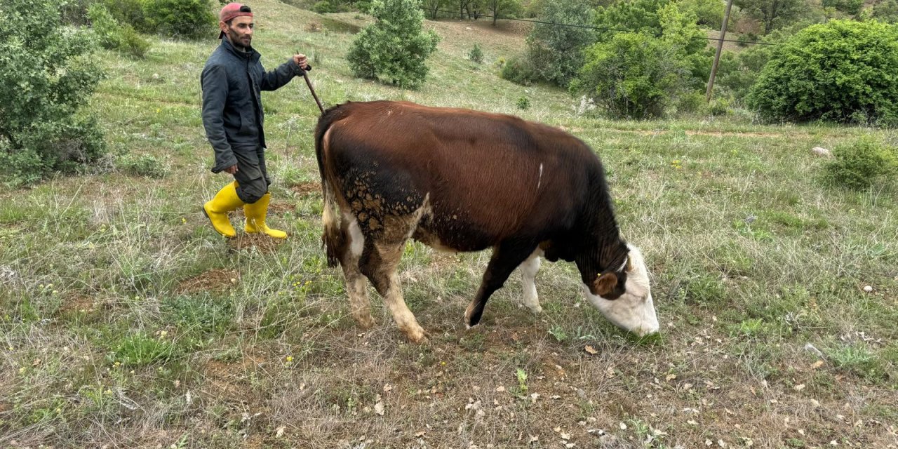 Devlet desteğiyle başladı,16 yıldır devam ediyor