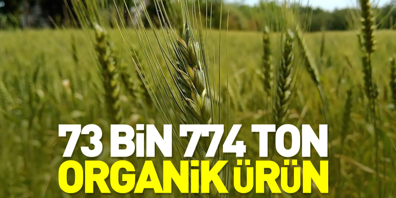 73 bin 774 ton organik ürün