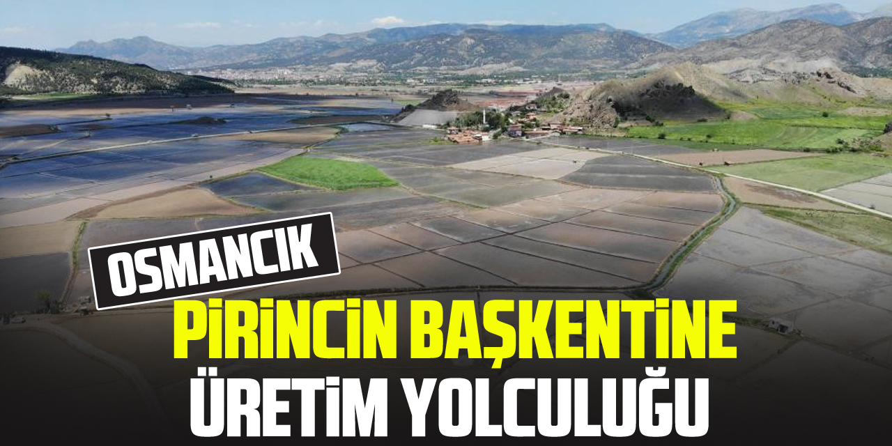 PİRİNCİN BAŞKENTİNE ÜRETİM YOLCULUĞU