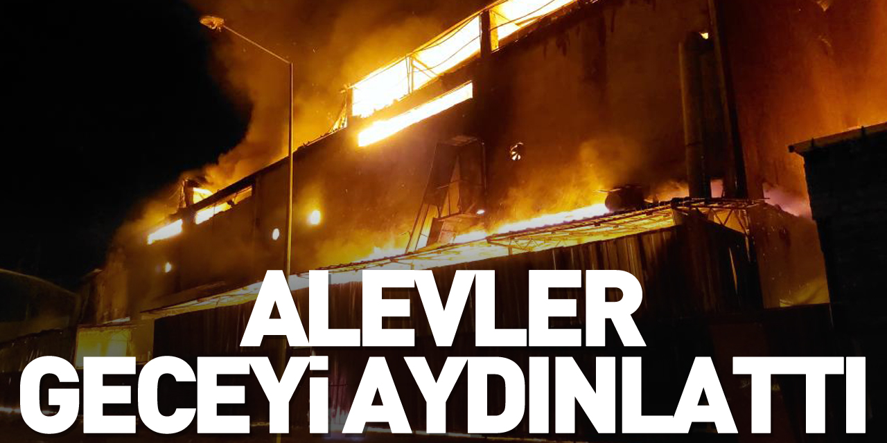 Alevler geceyi aydınlattı