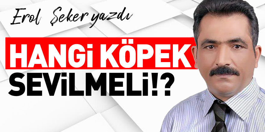 HANGİ KÖPEK SEVİLMELİ!?