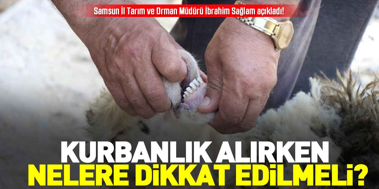 KURBANLIK ALIRKEN NELERE DİKKAT EDİLMELİ?