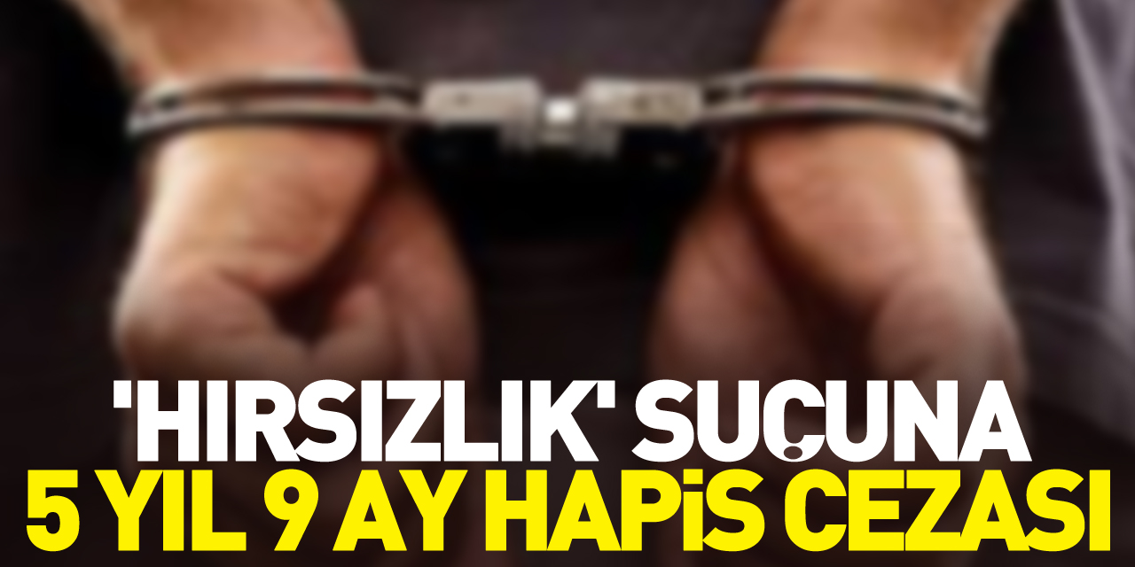 5 yıl 9 ay hapis cezası