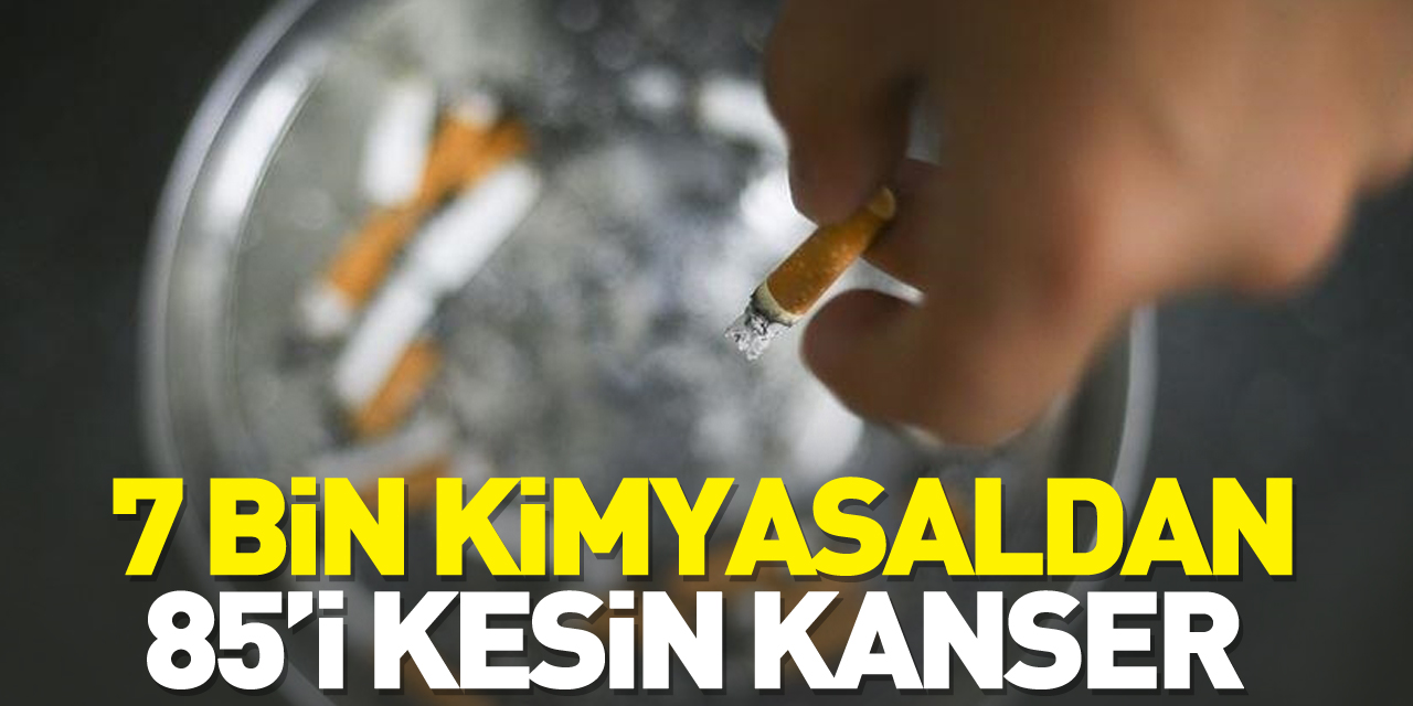 7 bin kimyasaldan 85’i kesin kanser